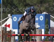 Philippaerts L Denver TosTour 2013- S5 7649 : Arezzo Equestrian Centre, Denver, Philippaerts Ludo, Toscana Tour 2013, foto di Stefano Secchi ©